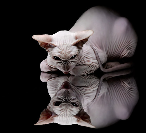 当索伯阴影笼罩马拉内罗，周冠宇如何在法拉利主场完成不可能的任务