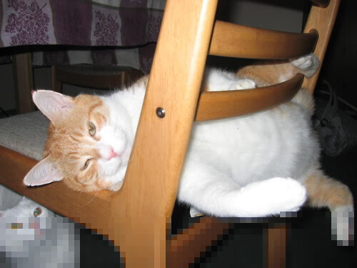 一个人的球队，当辛杜扛起全队，胜利背后是隐形的王冠