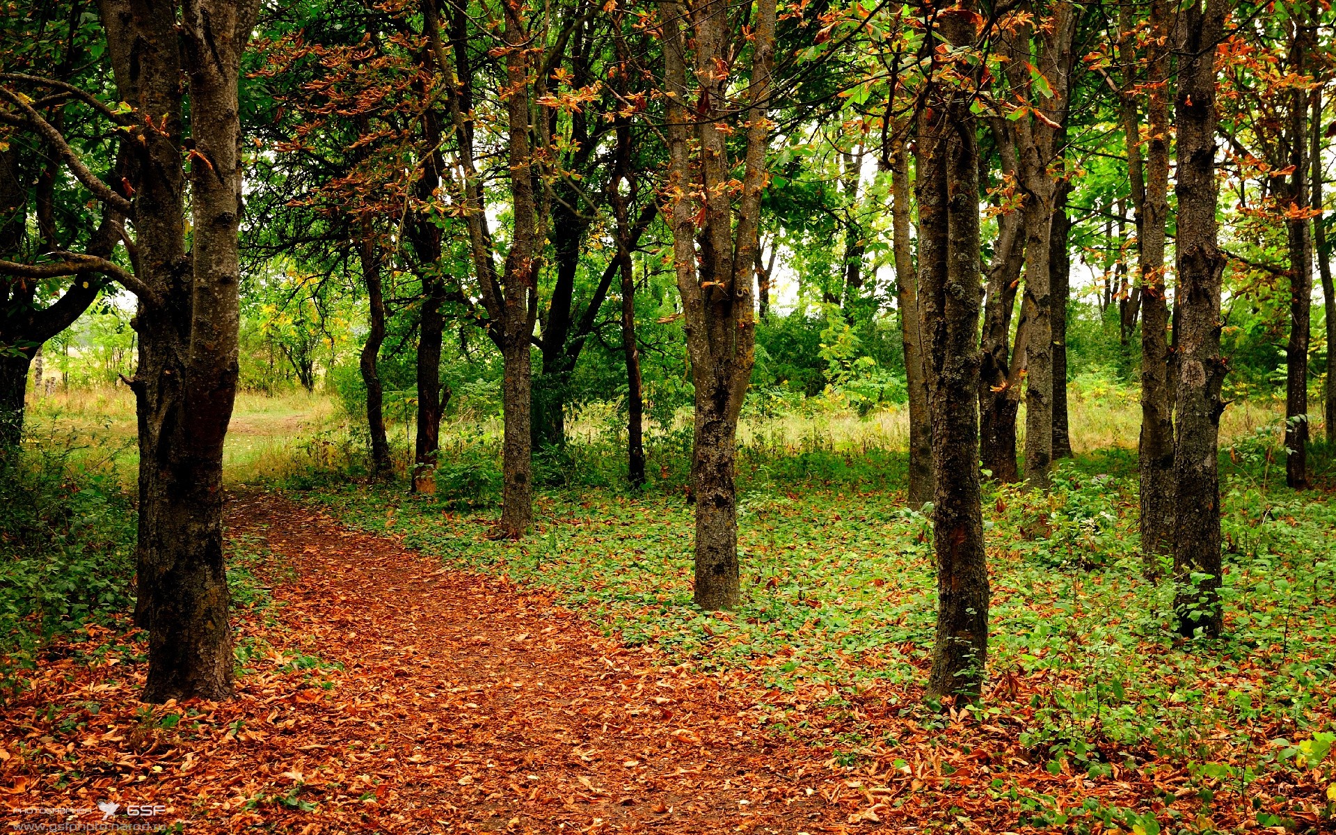 威廉姆斯车队逆袭！周冠宇关键制胜，开启F1双重突破新纪元