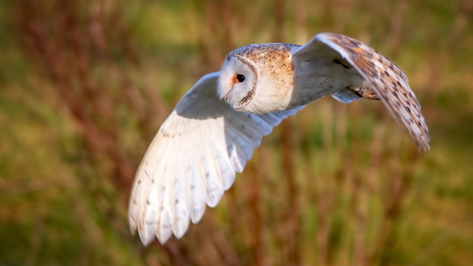 绝地翻盘！樊振东一剑封喉，中国队逆转奥地利惊险晋级