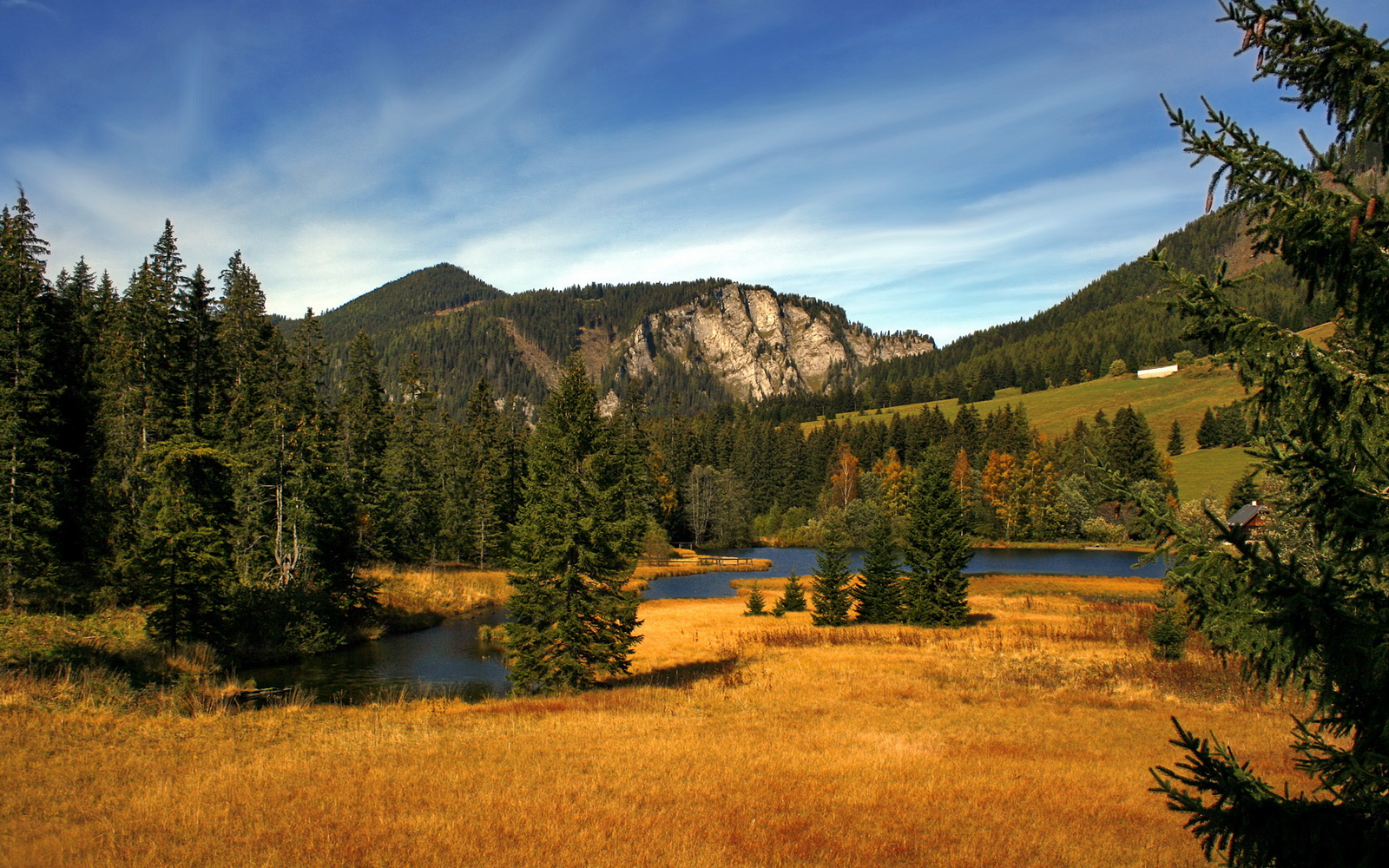 逆袭之战，哈斯绝地奇袭与阿隆索不熄之火