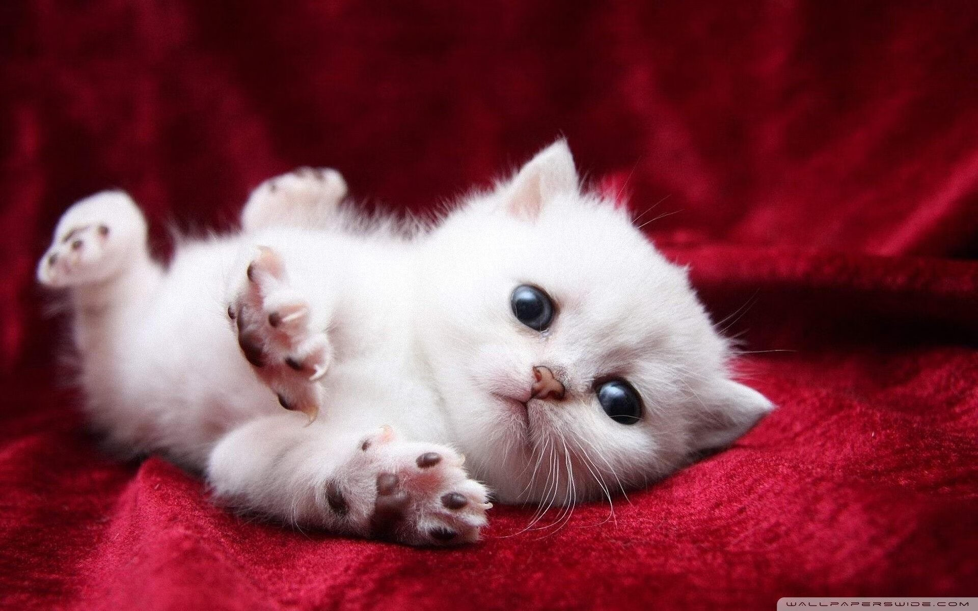 爱游戏入口-夜访童话镇，丹麦绝地反击，奥利维耶一骑绝尘