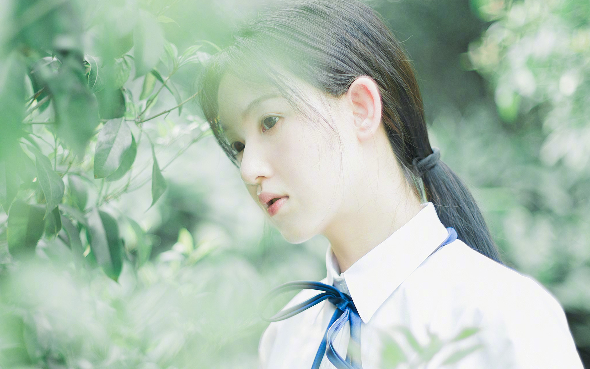 黑铁时代的锋刃,波尔以一场险胜,续写德法千年部落之战