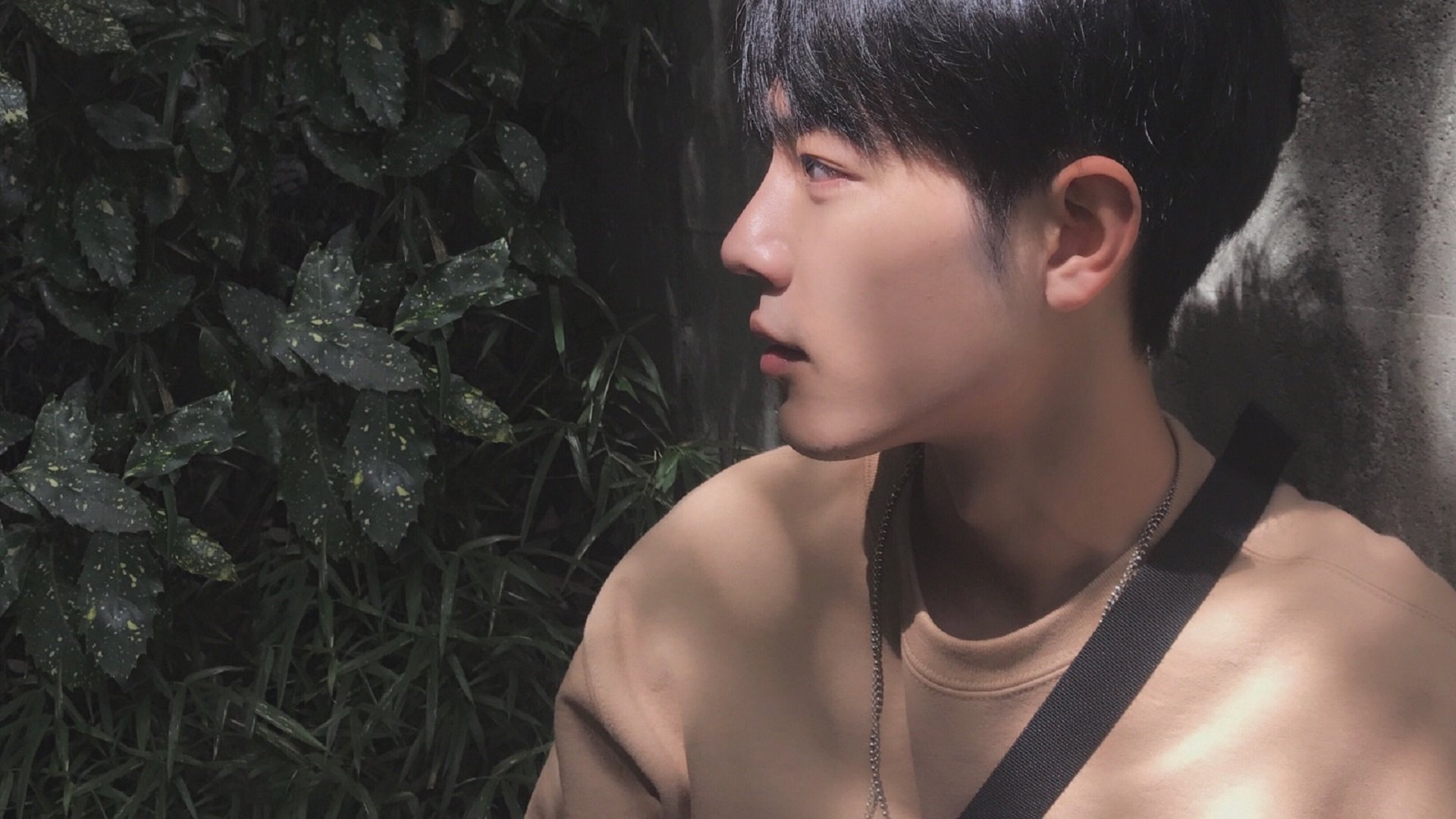 冰与火之歌,文班亚马的寒铁初啼与字母哥的熔岩淬炼