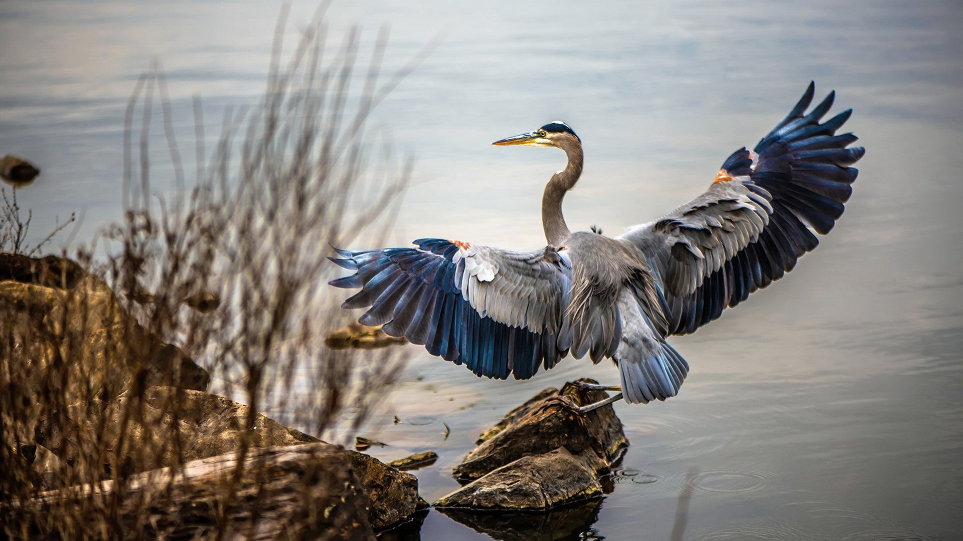 东亚铁骑破美利坚铁幕！辽宁总决赛级表现击溃篮网，字母哥空砍里程碑夜