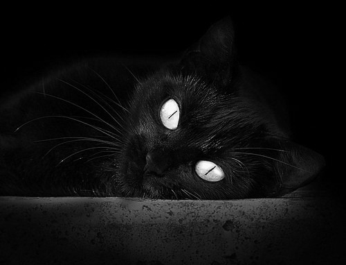 神兽吞噬巨星，卡塔尔团队智慧如何让阿圭罗的爆炸数据黯然失色