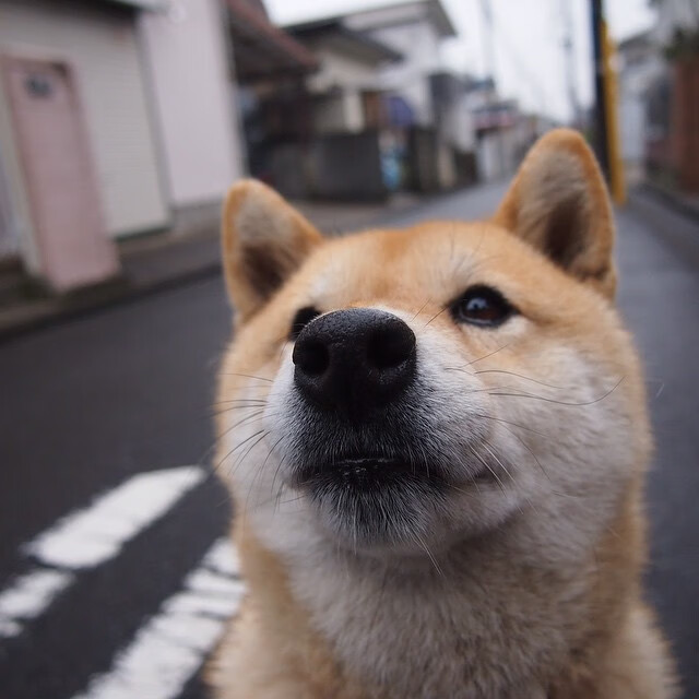 马德里硝烟未散，慕尼黑奇迹夜，一场横跨欧陆的哥伦比亚暗线