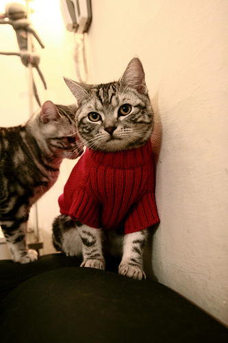 决战时刻,罗马提前终结安哥拉悬念,穆勒抢七接管比赛