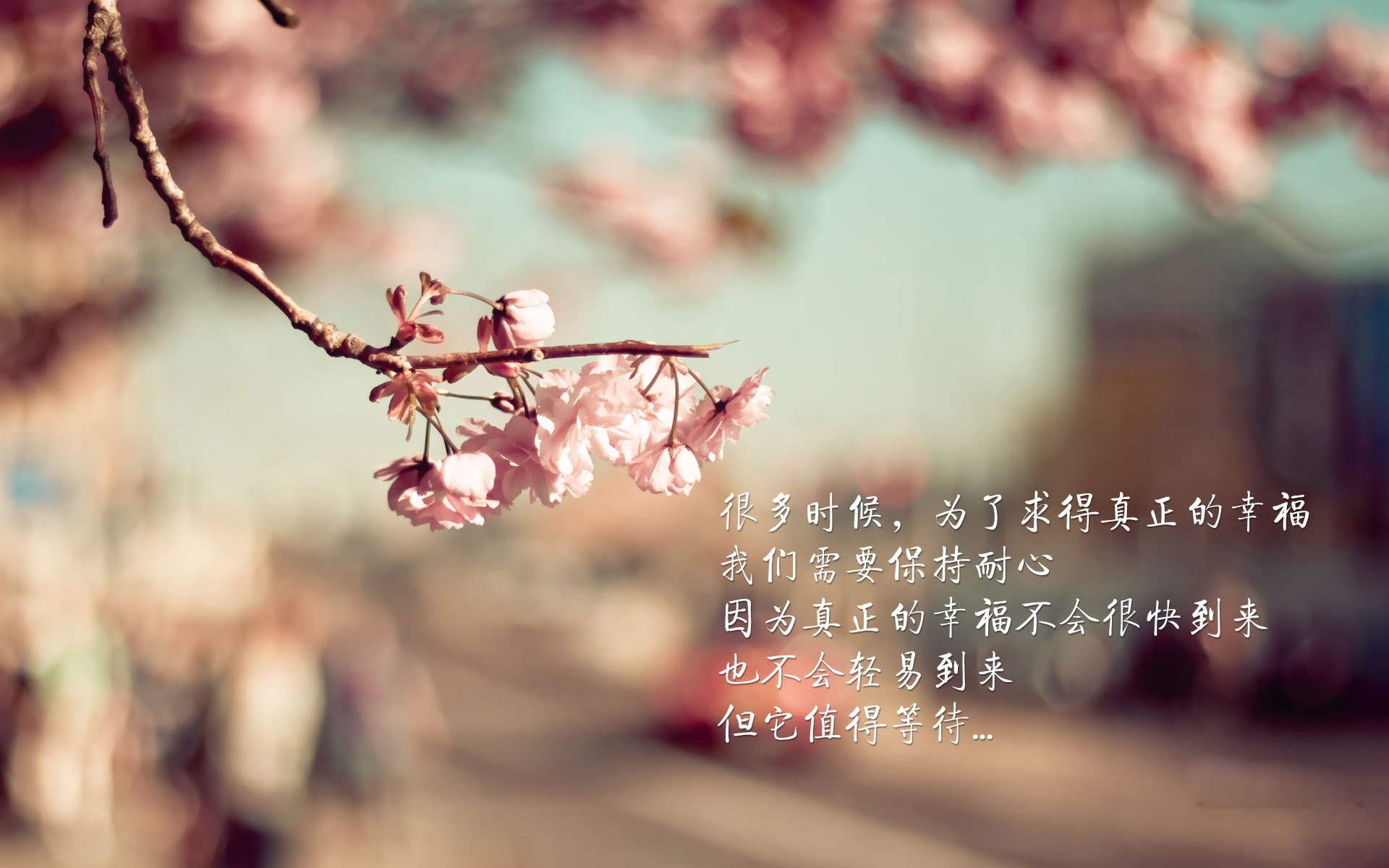 史诗级空砍与铁壁之笼，文班亚马的爆发与雄鹿的冰火之歌