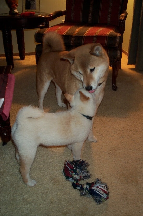 三分雨逆天改命，战术铁幕锁死奇才—爱德华兹43分爆发背后的攻防博弈