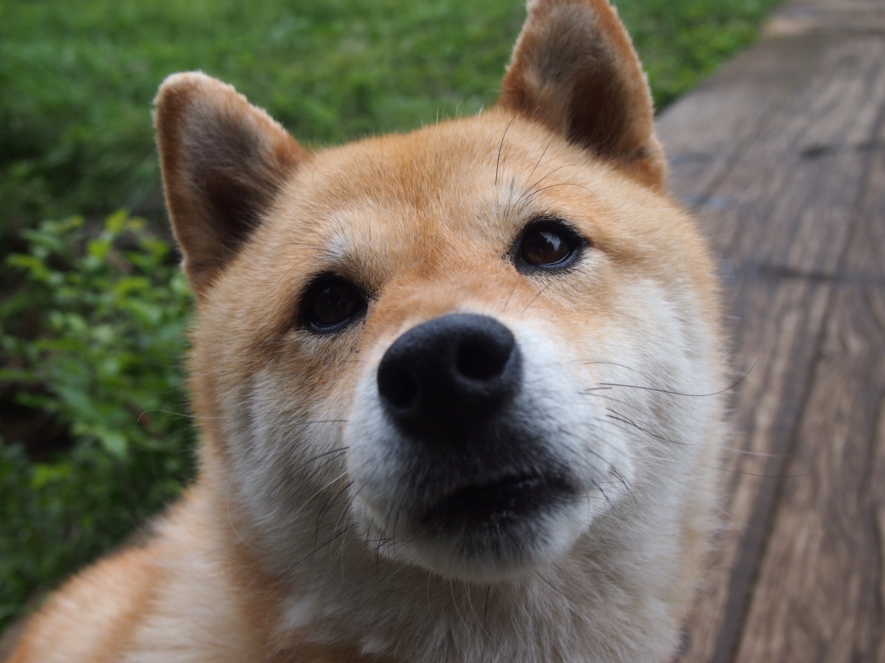 爱游戏tv-救赎的艺术，当弗拉霍维奇遇见智利的铁血