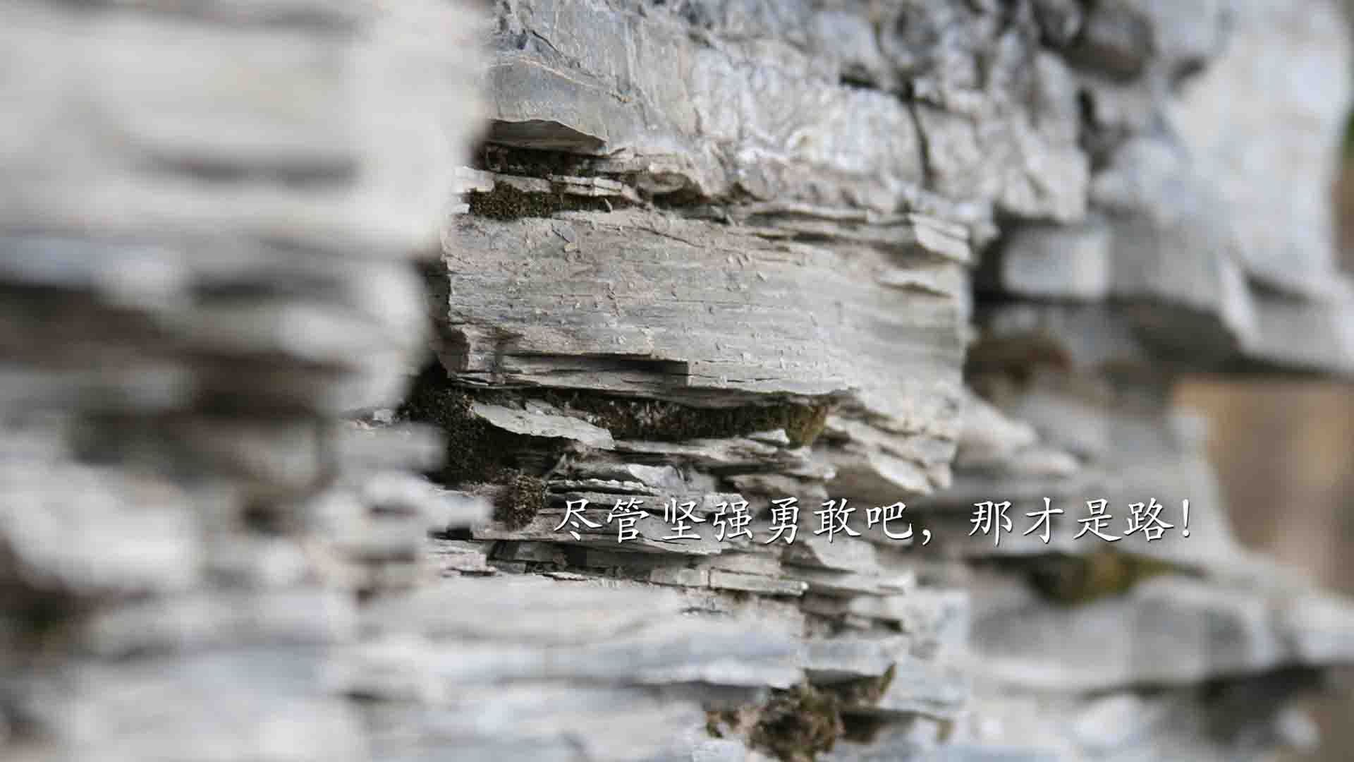 爱游戏在线-棋局与铁壁，防守艺术的两种诠释