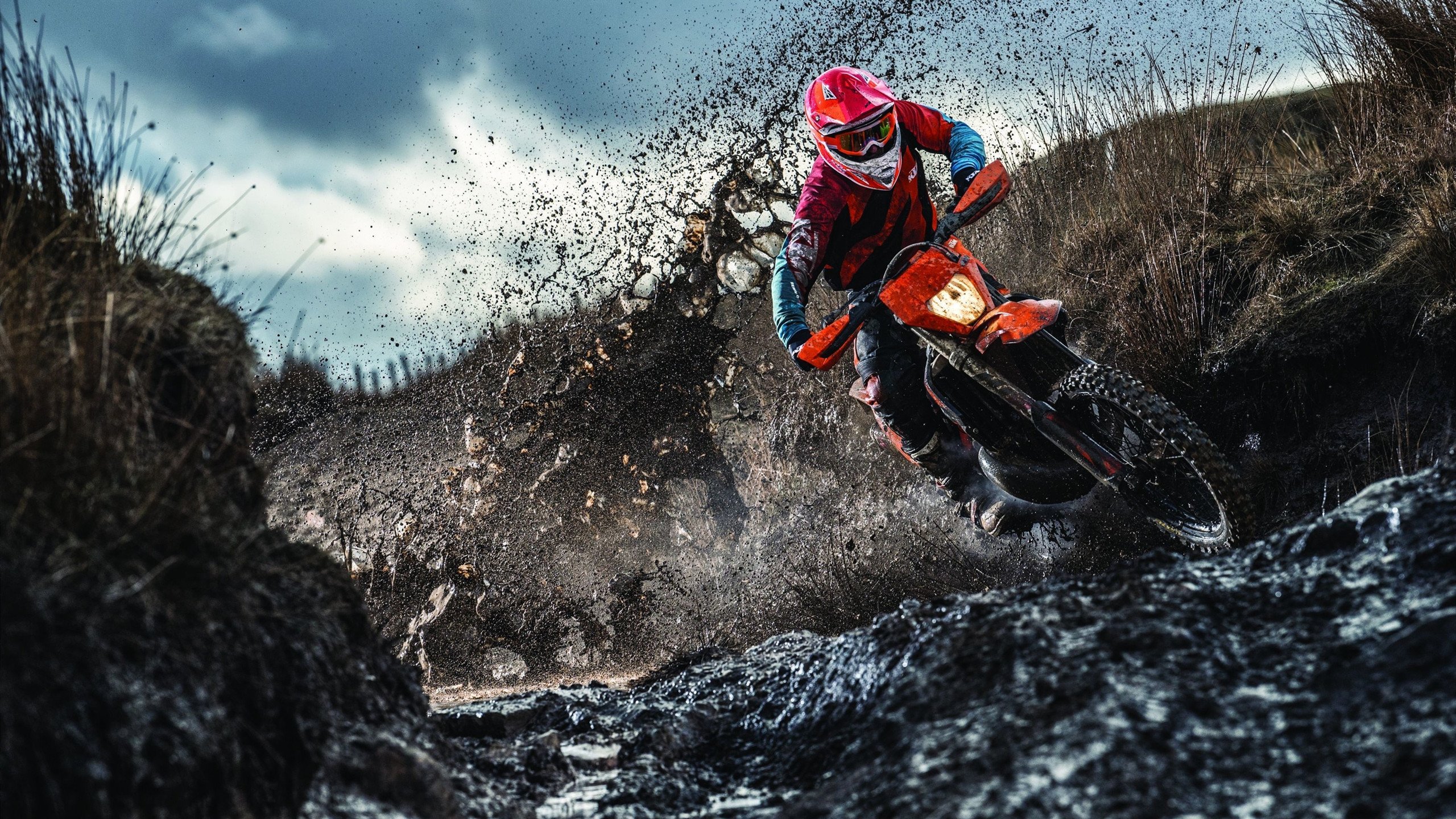 精密的发条，范弗利特与国王队如何演绎比赛的控制艺术