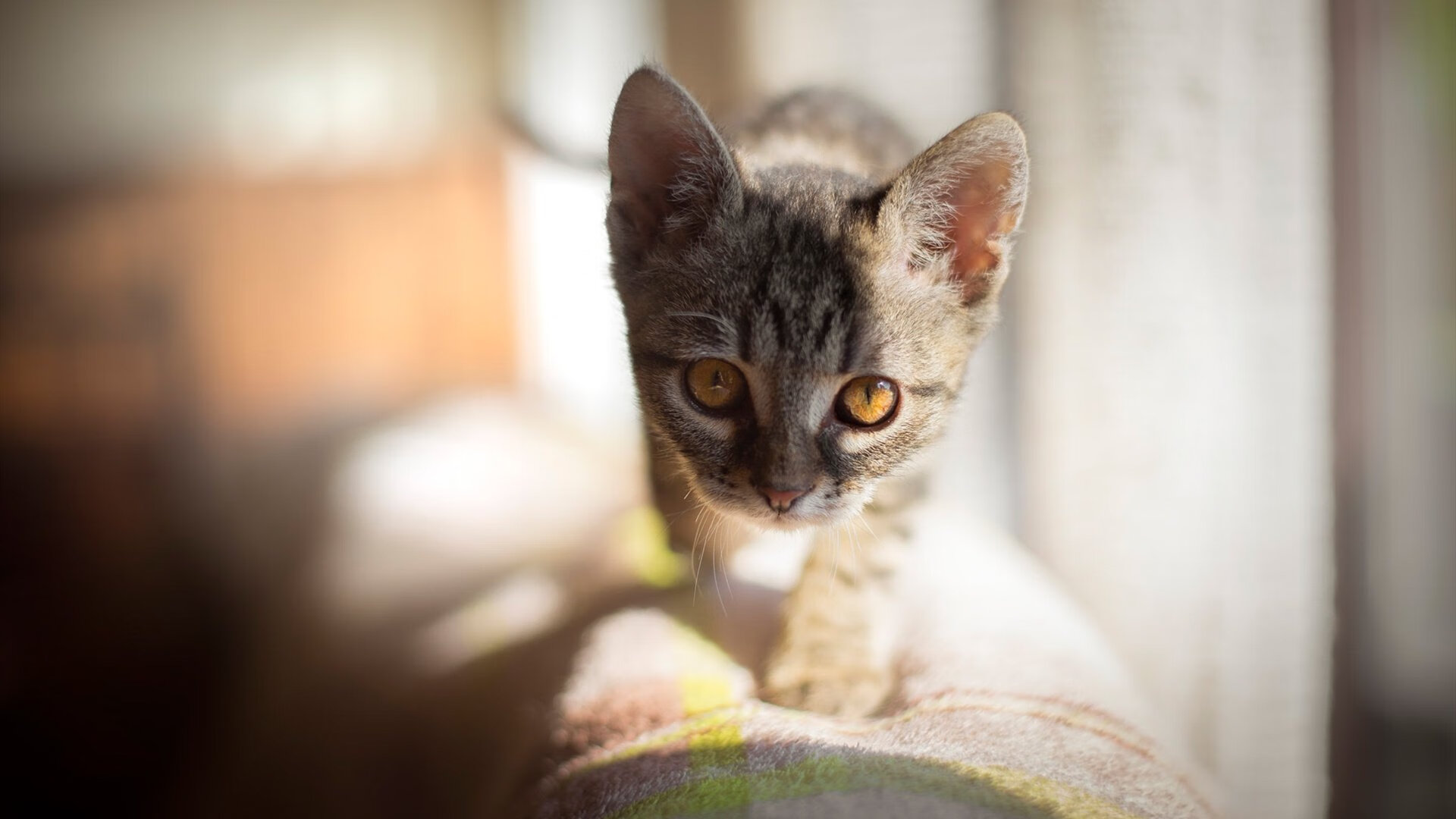 温差与掌控，从卡塔尔到利物浦的欧冠启示录