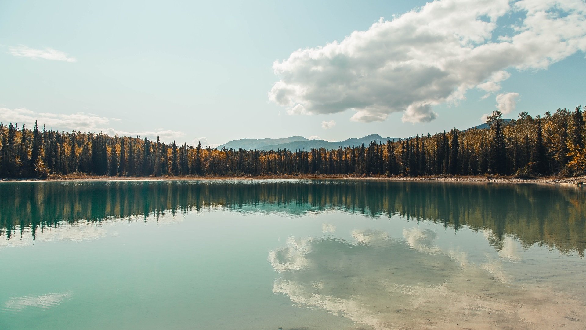 跨越太平洋的篮球传奇，新疆队与活塞的焦点之战