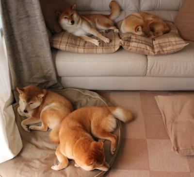 爱游戏体育-福登爆发与墨西哥生死战，足球之夜的双重奇迹