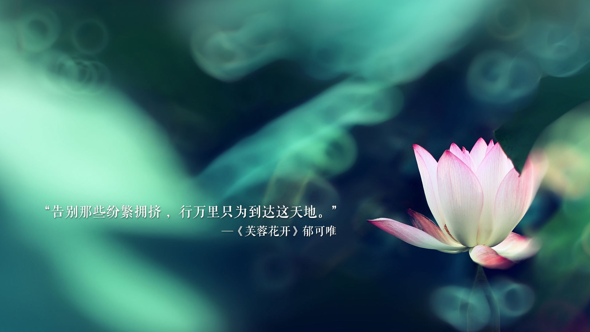 爱游戏tv-宿命的回声，2026，当拉什福德的手指点向秘鲁，尼日利亚重写足球史诗