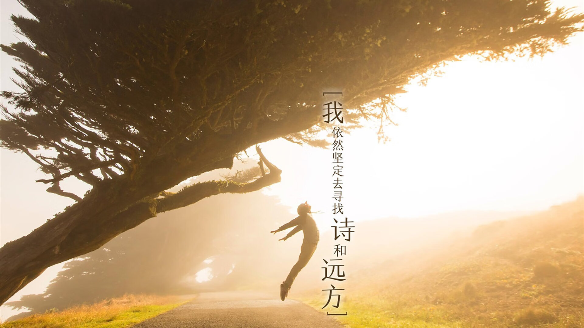 逆光之刃,2026世界杯A组,德布劳内用节奏之剑引领摩洛哥绝境逆转罗马尼亚