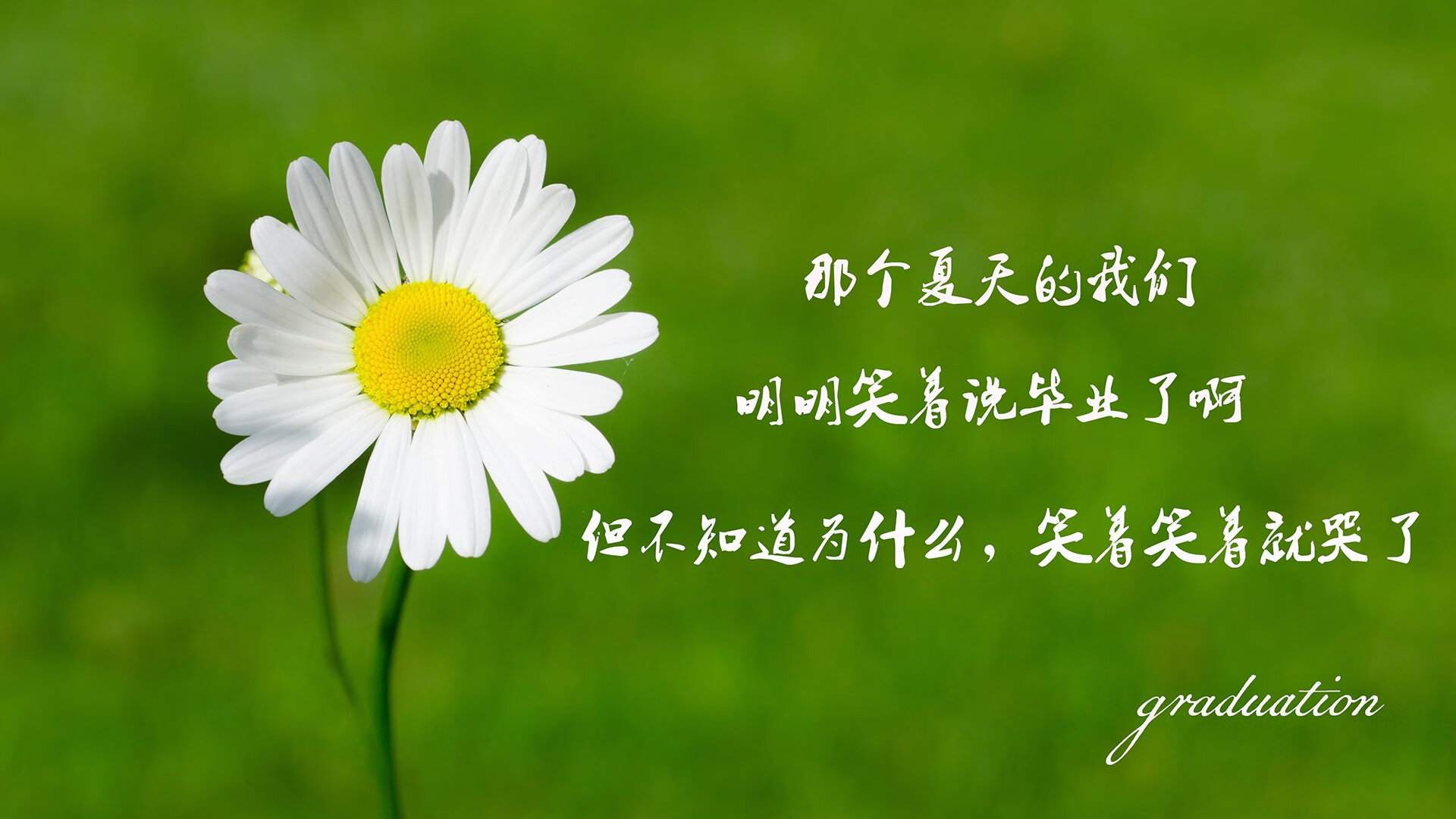 东方铁骑的绝唱，2026世界杯，乌兹别克斯坦用战术与意志刺破保加利亚的钢铁防线